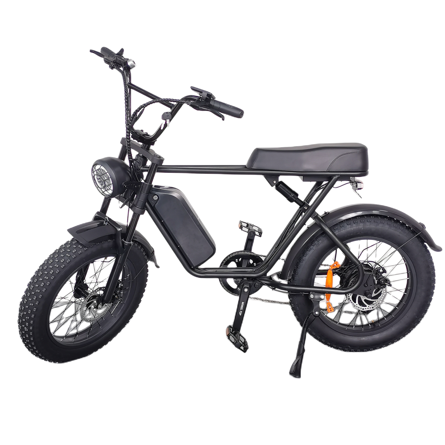 C91 Electric Bike 48V 1000W Motor 20Ah Battery, 20*4.0 Inch Fat Tire, Top speed 25Kmh