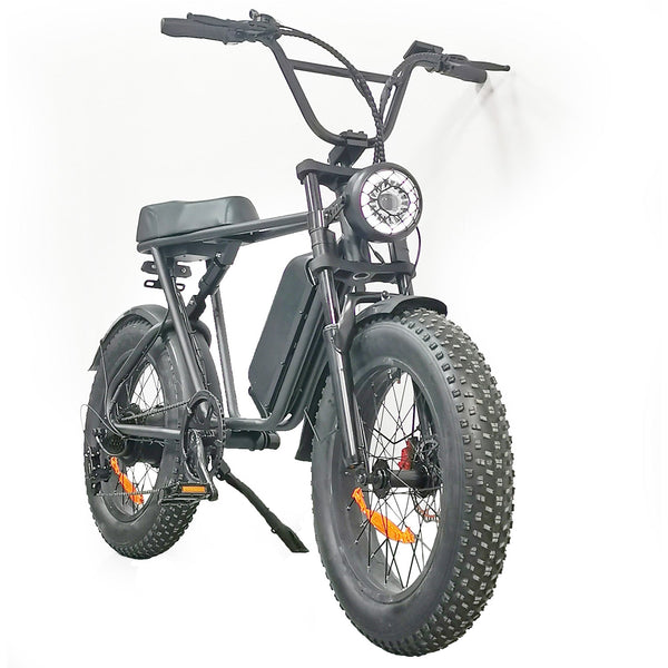 C91 Electric Bike 48V 1000W Motor 20Ah Battery, 20*4.0 Inch Fat Tire, Top speed 25Kmh