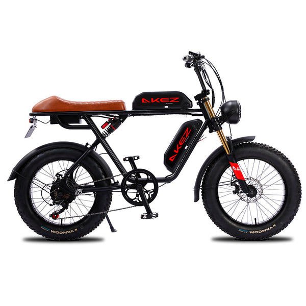 AKEZ, Retro Electric Mountain Bike, 750W 48V Dual Batteries, 20*4.0 Inch Fat Tire, Top Speed 15.5Mph