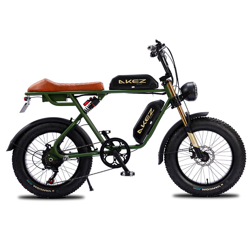 AKEZ, Retro Electric Mountain Bike, 750W 48V Dual Batteries, 20*4.0 Inch Fat Tire, Top Speed 15.5Mph