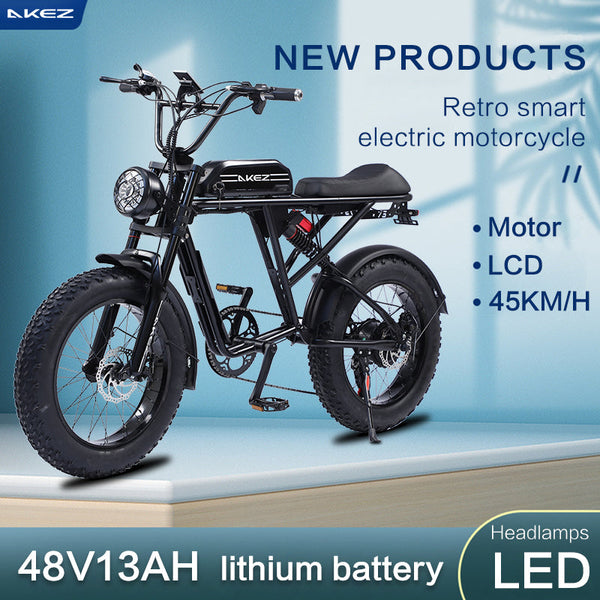 AKEZ, Retro Electric Mountain Bike, 750W 48V Dual Batteries, 20*4.0 Inch Fat Tire, Top speed 15.5Mph