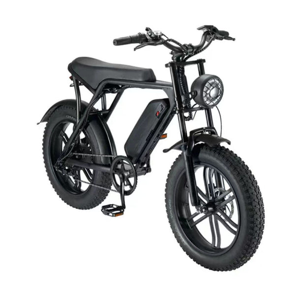 Eridehub V8 Electric Bike Adults, Electric Mountain Bike with 750W Motor 48V 15Ah, Top speed 15mph
