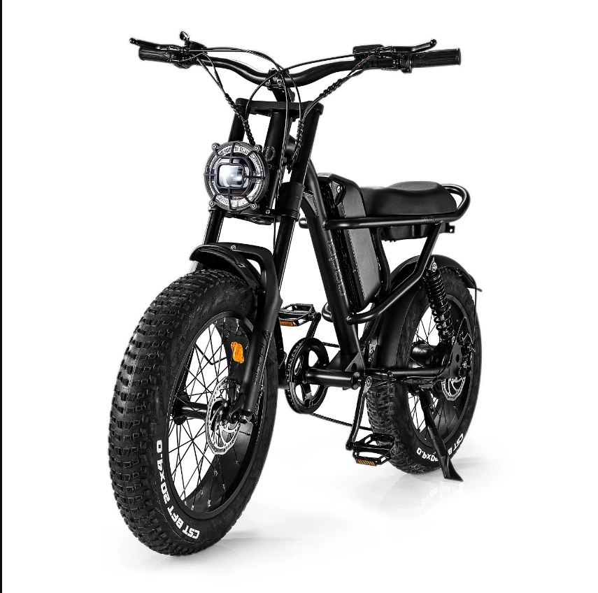 Eridehub Z8 Electric Bike, Fat Tire E-Bike, Removebale Battery, Silver/Black, Top speed 25Km/h