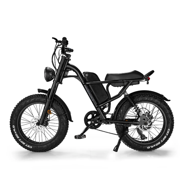 Eridehub Z8 Electric Bike, Fat Tire E-Bike, Removebale Battery, Silver/Black, Top speed 25Km/h